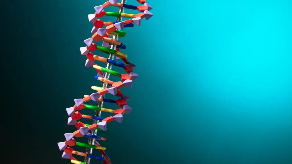 DNA có chức năng gì? Ứng dụng của DNA trong y học