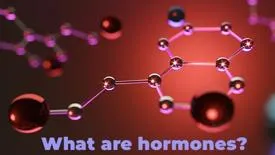 SHBG hormone là gì? Khi nào cần xét nghiệm SHBG?