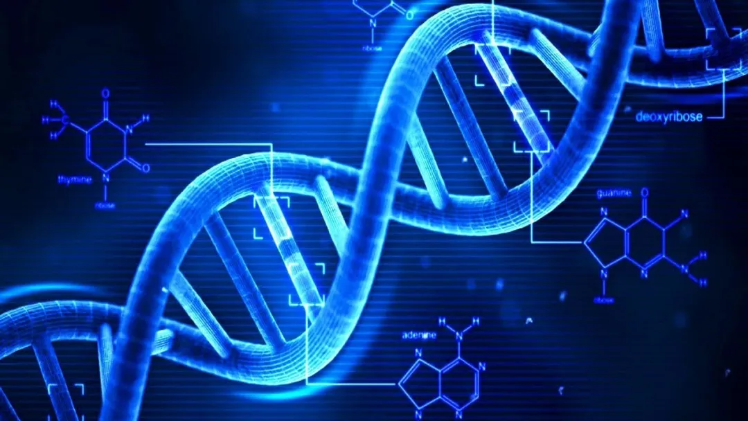 So sánh DNA và RNA: Có gì giống và khác nhau?