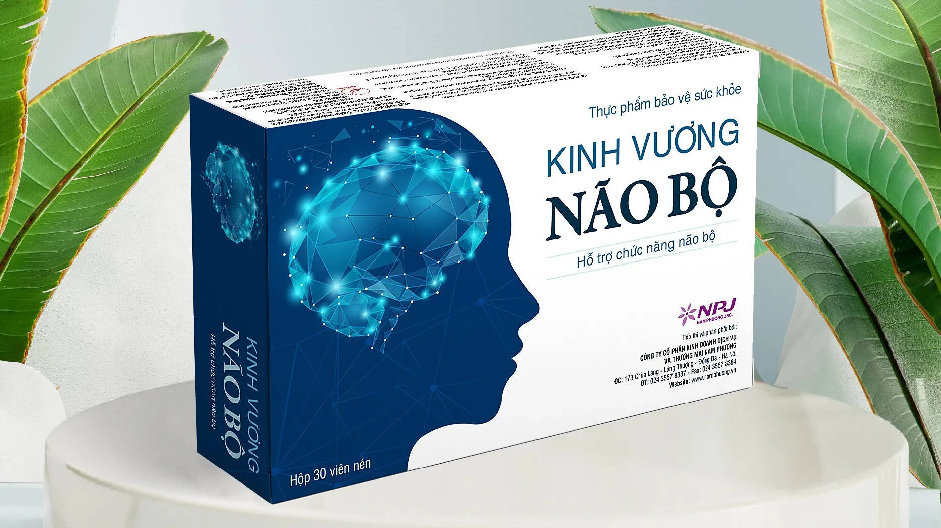 Viên uống Kinh Vương Não Bộ có tốt không? Ai nên sử dụng Kinh Vương Não Bộ?